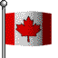 Buy a Canadian company