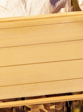 Top Quality Wooden Frame and Materials Supplier
