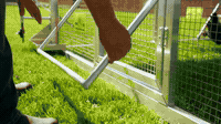 Turnkey Poultry Equipment Dealership, Western Canada, $200K Sales, No Staff.